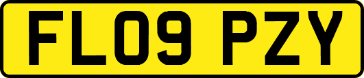 FL09PZY