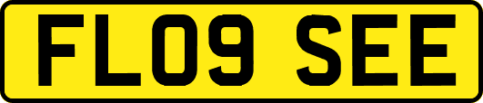 FL09SEE