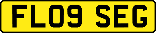 FL09SEG