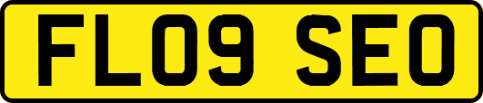 FL09SEO