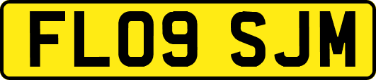 FL09SJM