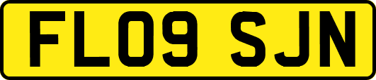 FL09SJN