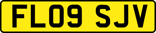 FL09SJV