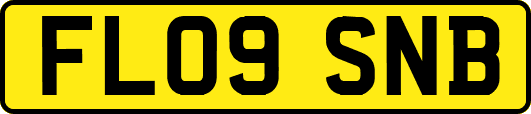 FL09SNB