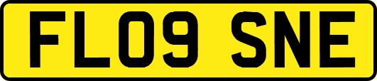 FL09SNE