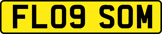 FL09SOM