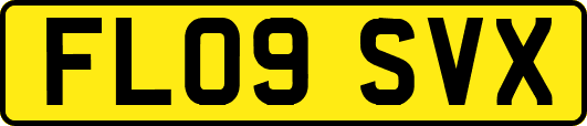 FL09SVX