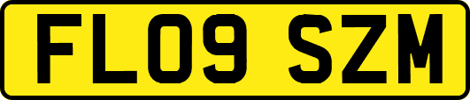 FL09SZM