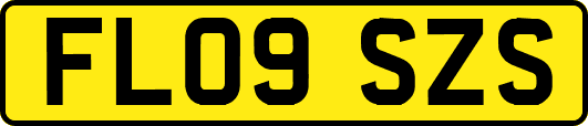 FL09SZS