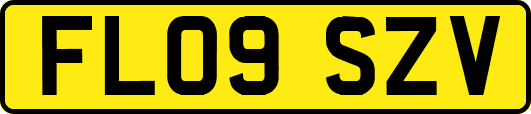 FL09SZV