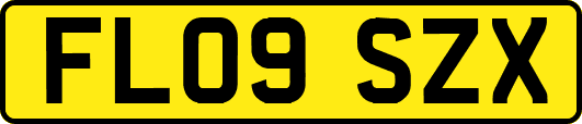FL09SZX