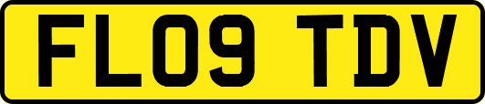 FL09TDV