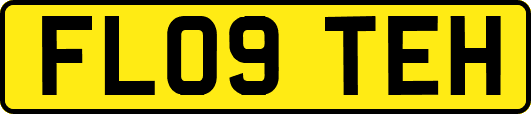 FL09TEH