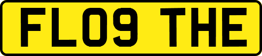 FL09THE