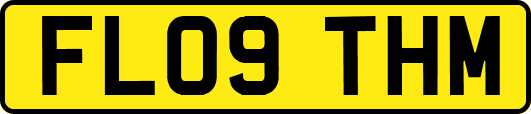 FL09THM
