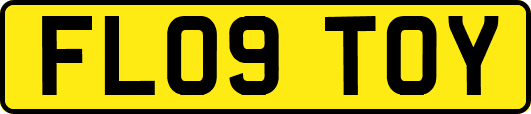 FL09TOY