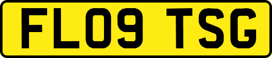 FL09TSG