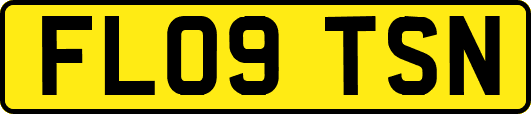 FL09TSN