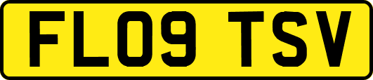 FL09TSV