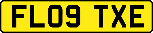 FL09TXE