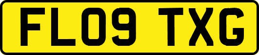 FL09TXG