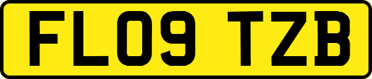 FL09TZB