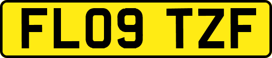 FL09TZF