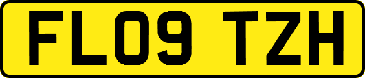 FL09TZH