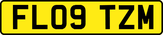 FL09TZM