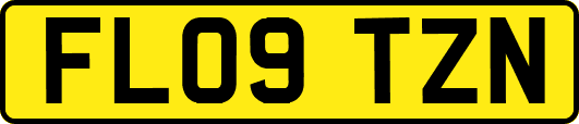 FL09TZN