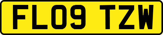 FL09TZW