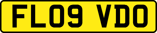 FL09VDO
