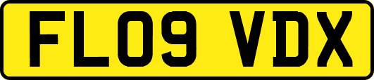 FL09VDX