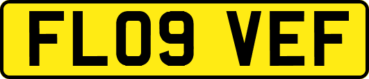 FL09VEF
