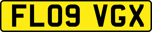 FL09VGX