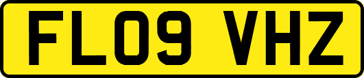 FL09VHZ