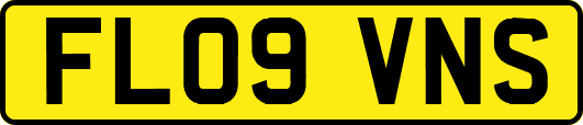 FL09VNS