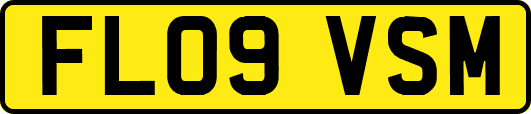FL09VSM