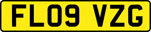 FL09VZG