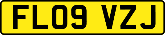 FL09VZJ