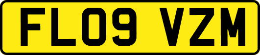 FL09VZM