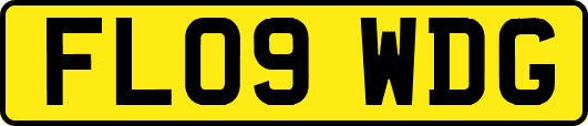 FL09WDG