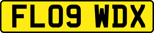 FL09WDX
