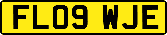 FL09WJE