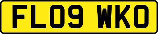 FL09WKO