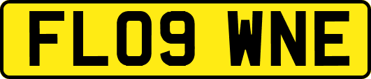 FL09WNE