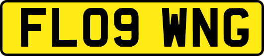FL09WNG