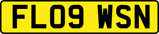 FL09WSN