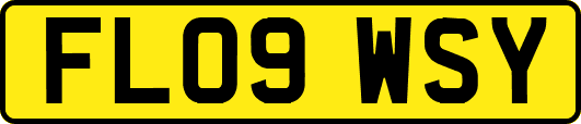 FL09WSY