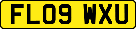 FL09WXU